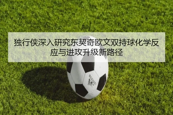 独行侠深入研究东契奇欧文双持球化学反应与进攻升级新路径